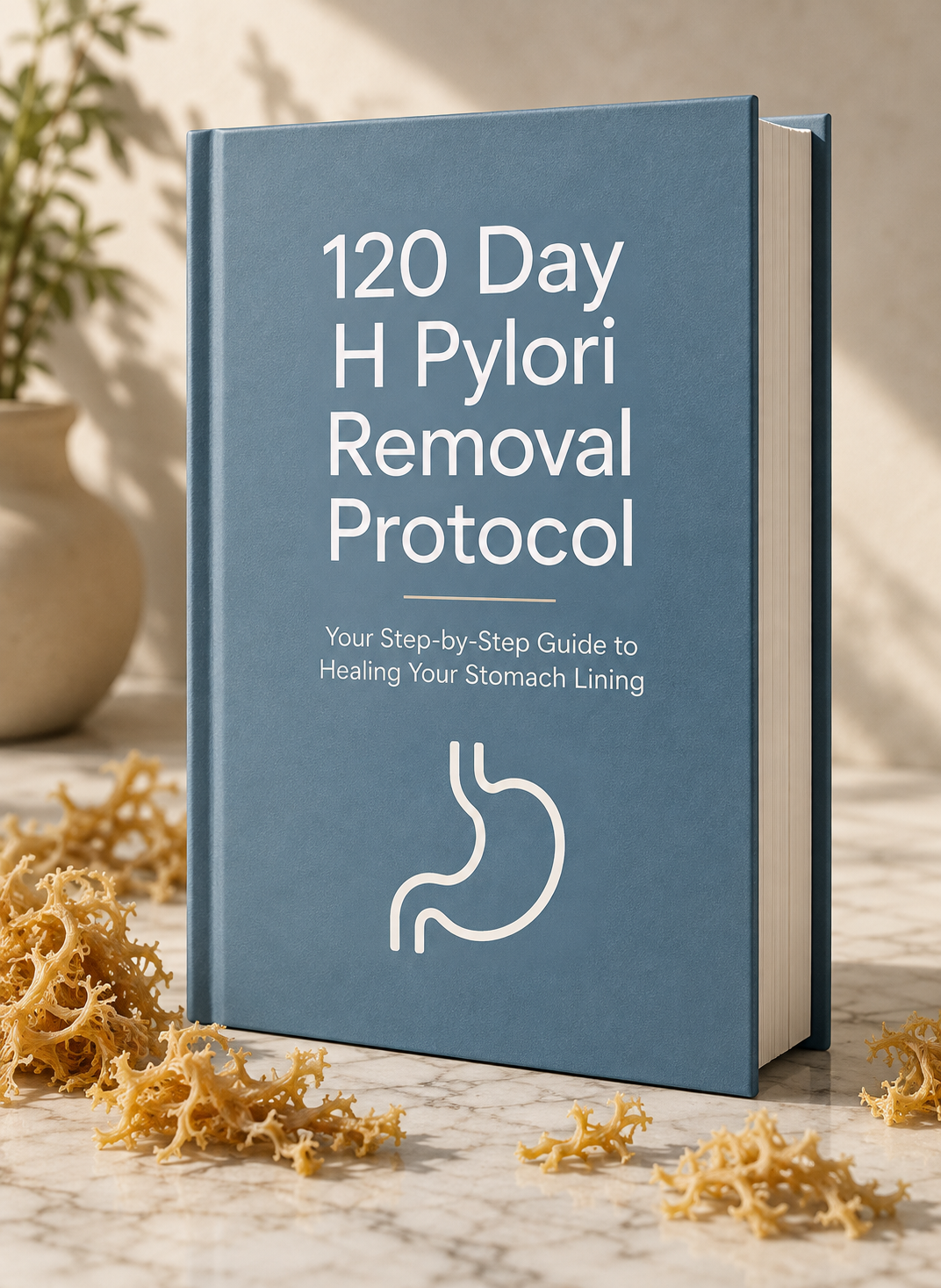 120 Day H Pylori Removal Protocol