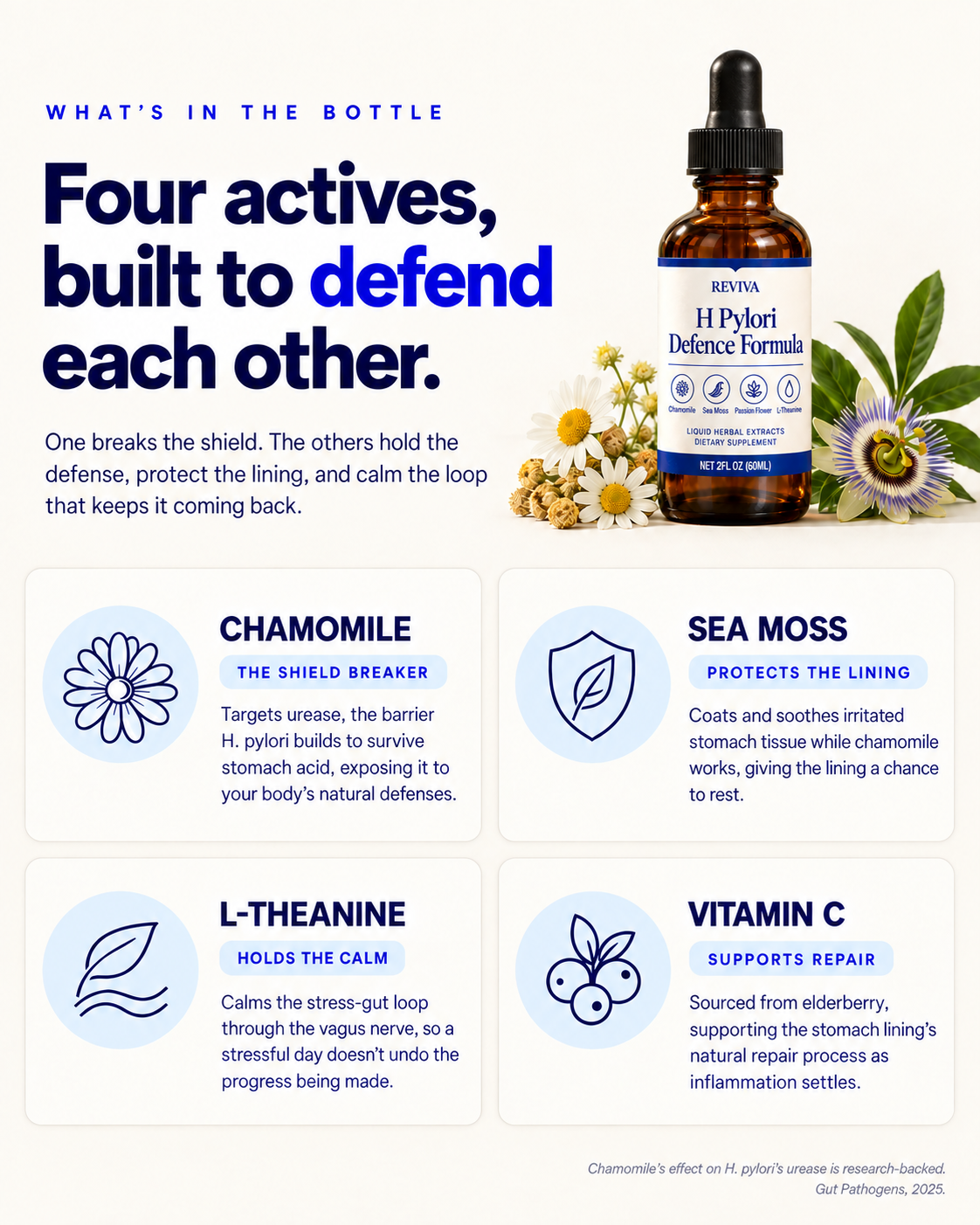 Chamomile H Pylori. Defense Formula