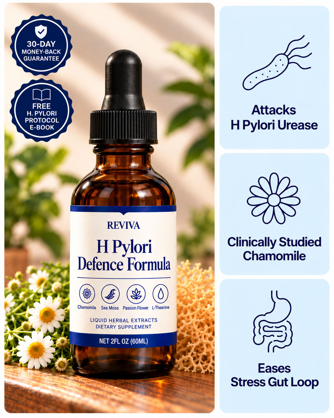 Chamomile H Pylori. Defense Formula